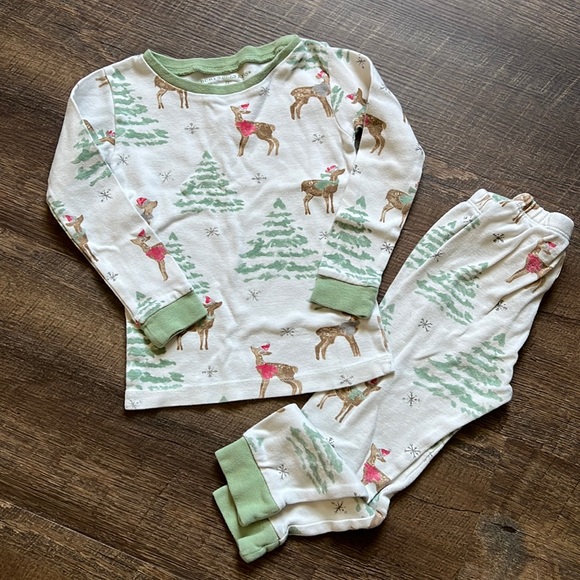 Toddler Winter Pajamas - Picture 1 of 2